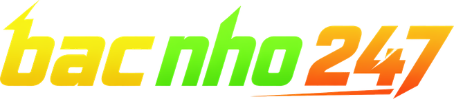 Logo bac nho 247